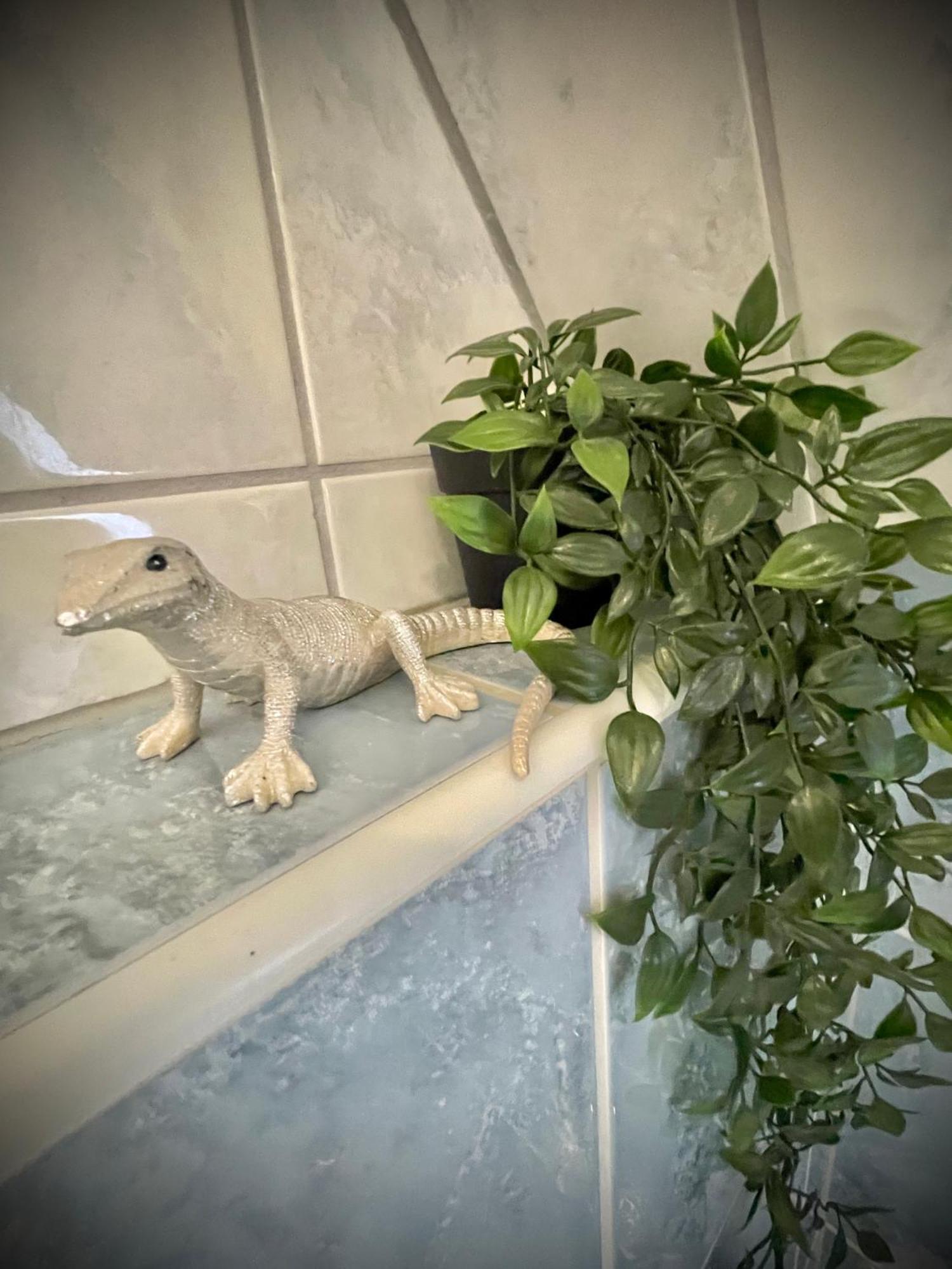 Appartement Casa Jungle Glanz Deluxe à Sigmaringen Extérieur photo