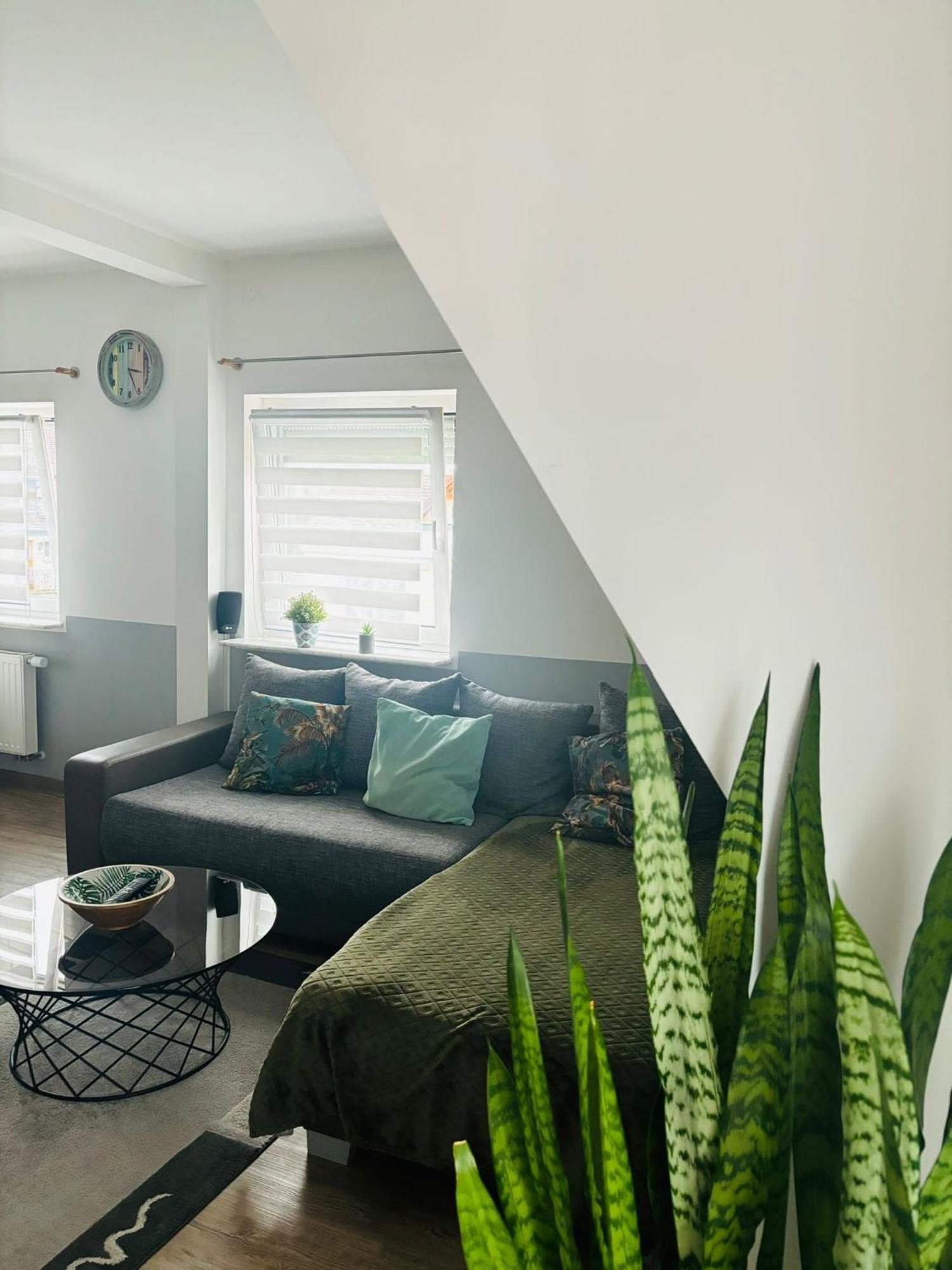 Appartement Casa Jungle Glanz Deluxe à Sigmaringen Extérieur photo